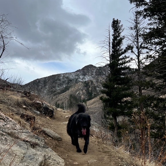 Meet your Posher, Claire - Picture 2 of 2